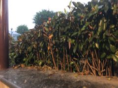 -咸宁万豪温泉谷度假区