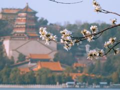 -颐和园