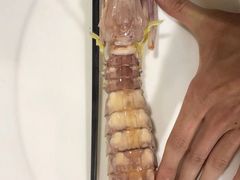 -凯华海鲜火锅·传承三十六年