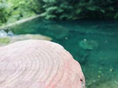 -花水湾第一村温泉大酒店