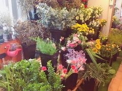 -森野花艺培训·企业团建活动沙龙