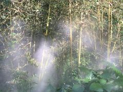 -紫竹院公园冰场