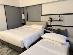 -新加坡乌节希尔顿酒店 (SG Clean)