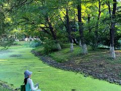 -长白岛森林公园