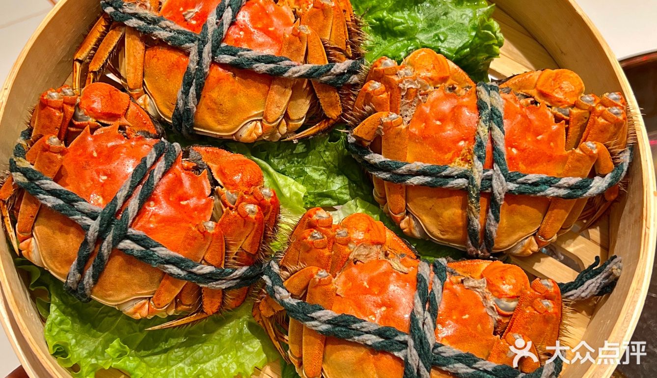 柿子大福就够绝了！梦幻蓝棉花冰淇淋杀疯了🔥