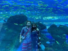 -成都浩海立方海洋公园