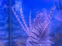 -多彩贵州城极地海洋世界