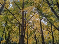 -唐城墙遗址公园