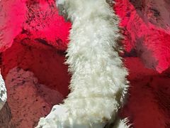 -房山世界地质公园博物馆