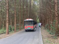 -同里国家湿地公园