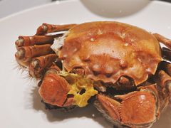 大闸蟹母3.5两-徐记海鲜·家宴(南油永新汇店)