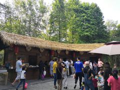 -溱湖国家湿地公园