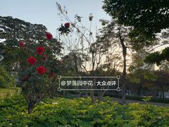 -文华公园(禅城区)