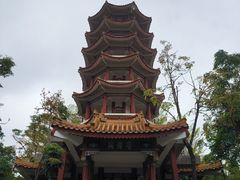 -深圳仙湖植物园