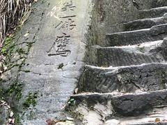 -大金鹰园