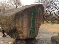 -香雪海