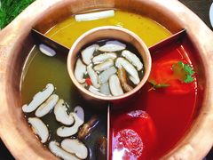 -老诚一锅羊蝎子(黄寺大街店)
