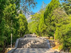 -禅宗少林·音乐大典