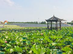 -卧龙湖