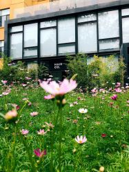 -Hair Co.一间沙龙