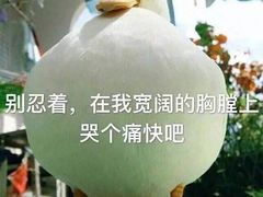 -Cafe Alice咖啡爱丽丝(奥城店)