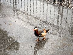 -杭州湖滨银泰in77