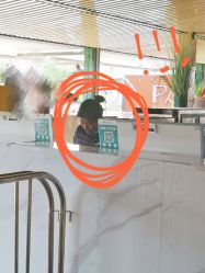 -小蜜蜂农场(凯德七宝购物广场店)