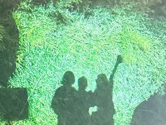 -庐州太太(双岗店)