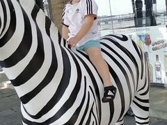 -三亚游船旅游中心(三亚鹿回头游艇游船公共码头店)