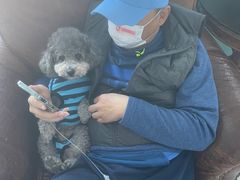 -欧奕国际动物医院