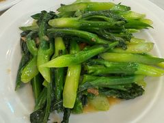 -益健美食大广场(北岭店)
