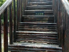 -北京呀路古热带植物园