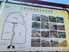 -大岭沟猕猴桃谷风景区