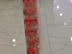 -和禄德冰糖葫芦
