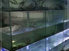-海之鲜大排档(东山海鲜金銮湾店)