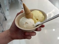 -极拉图·现制冰淇淋(梅溪湖新天地步步高店)