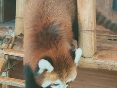 -和信广场(狮山店)