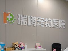 -瑞鹏宠物医院·爱宠堂·骨外专科(西荷分院)