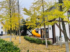 -太阳岛度假酒店