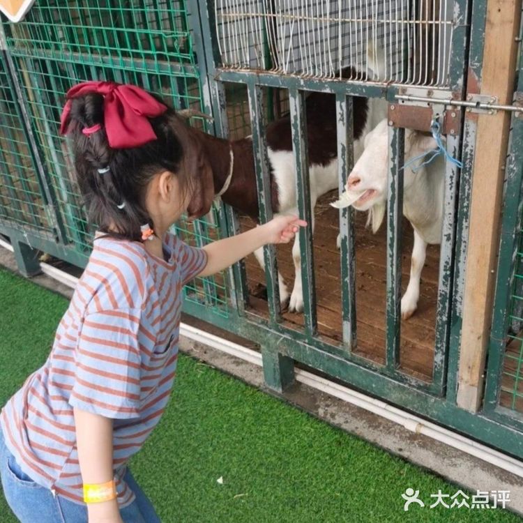 自然气息扑面来～小蜜蜂欢乐多