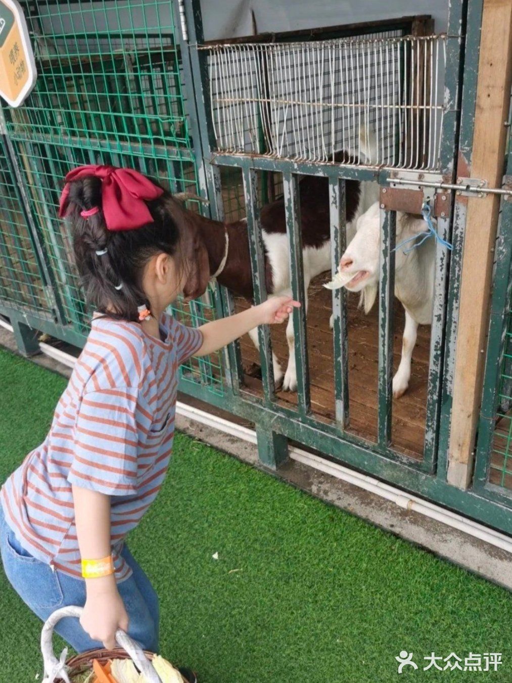 自然气息扑面来～小蜜蜂欢乐多