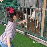 自然气息扑面来～小蜜蜂欢乐多