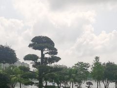 -岳阳阿波罗御庭酒店(岳阳楼区南湖广场店)