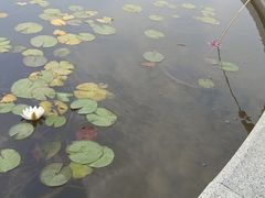 -永定河休闲森林公园