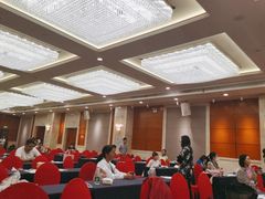 -圣爵菲斯大酒店(长沙世界之窗店)