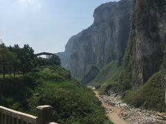 -紫鹊界梯田景区