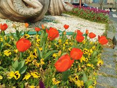 -花马天堂云南餐厅 Lost Heaven(外滩店)