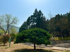 -佛慧山