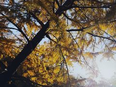 -白塘生态植物园