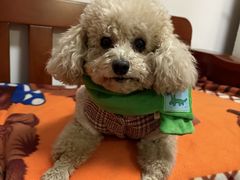 -赛百味SUBWAY(万达西地店)